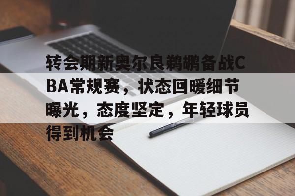 Ray Esports-转会期新奥尔良鹈鹕备战CBA常规赛，状态回暖细节曝光，态度坚定，年轻球员得到机会的简单介绍